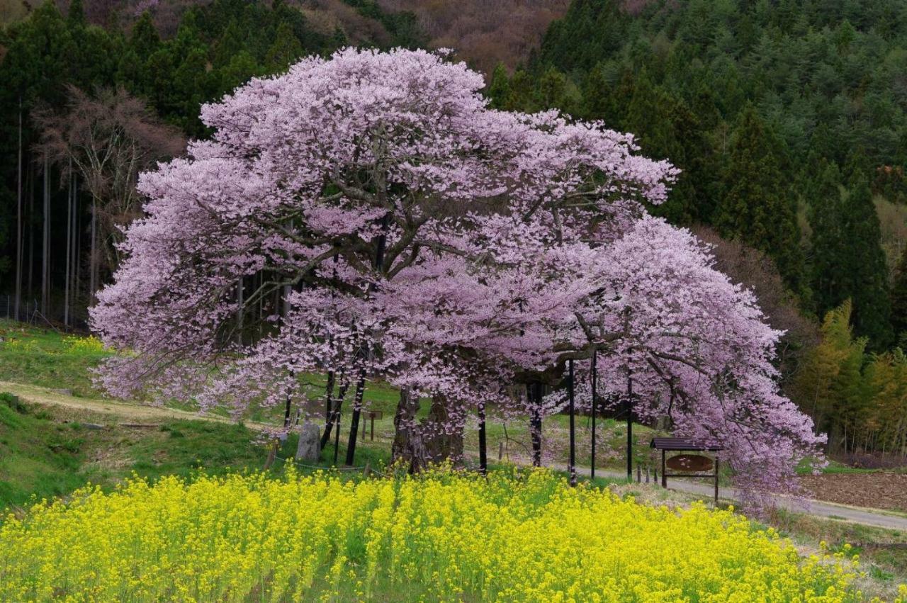 Ryokan Warabino Takayama  Екстер'єр фото